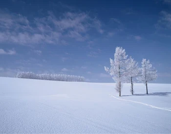 「雪原  弐」のメインビジュアル