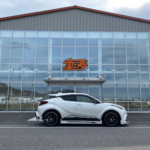 C-HR ZYX10