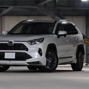 RAV4 MXAA52