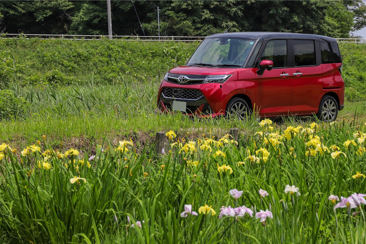 タンクのルーミー・トール・ジャスティ・７月もよろしくお願いいたしますに関するカスタム事例の投稿画像1枚目