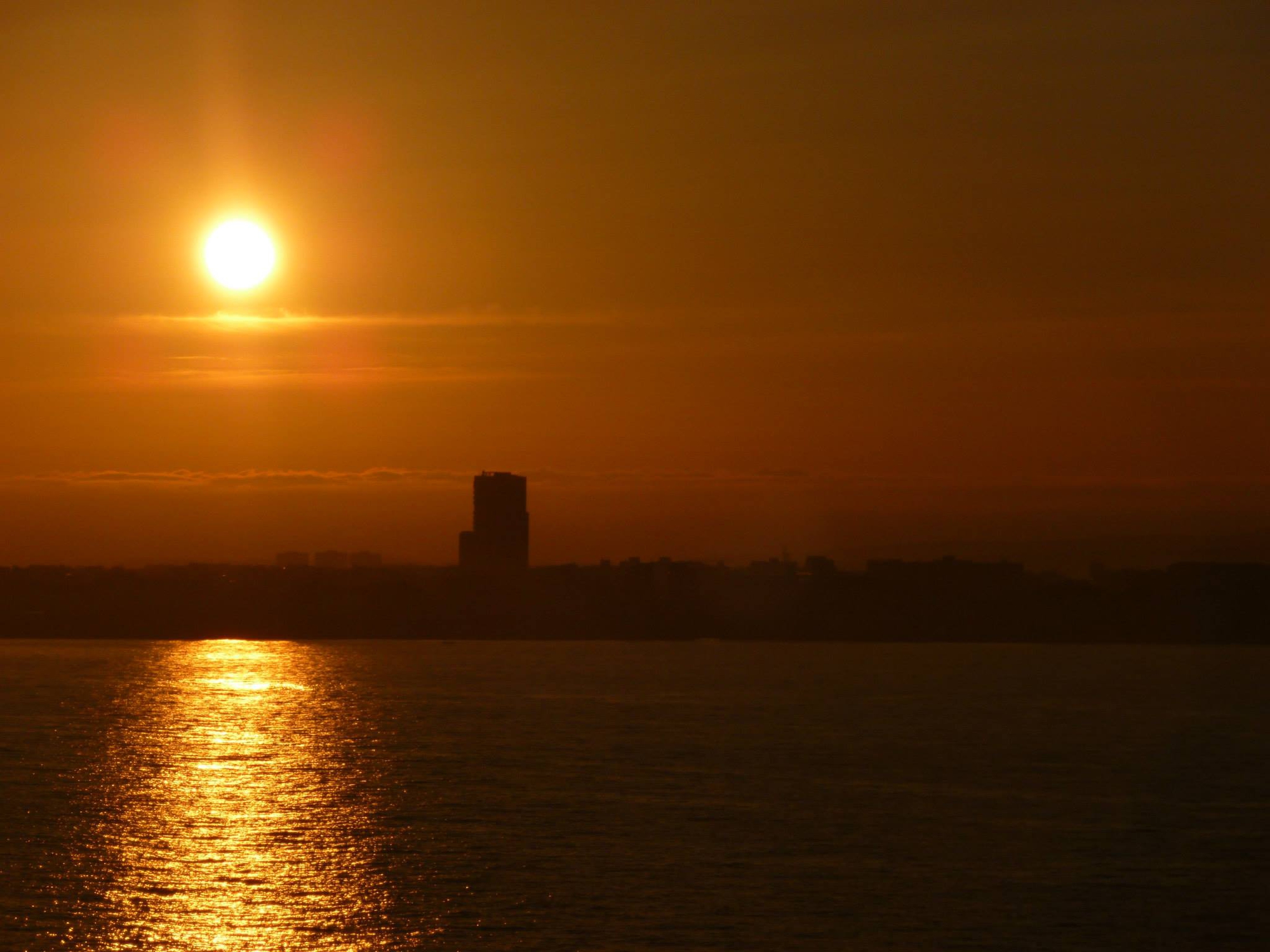 Il Sol Levante di Livorno di federico.biscu