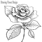 Cover Image of Download Drawing Flower Design 1.0 APK