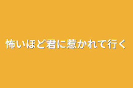 怖いほど君に惹かれて行く