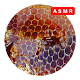 Download Asmr Honeycomb Honey Asmr Satisfying For PC Windows and Mac 1.5