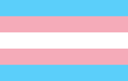 Trans Flag small promo image