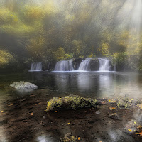 Segnali d'Autunno di 