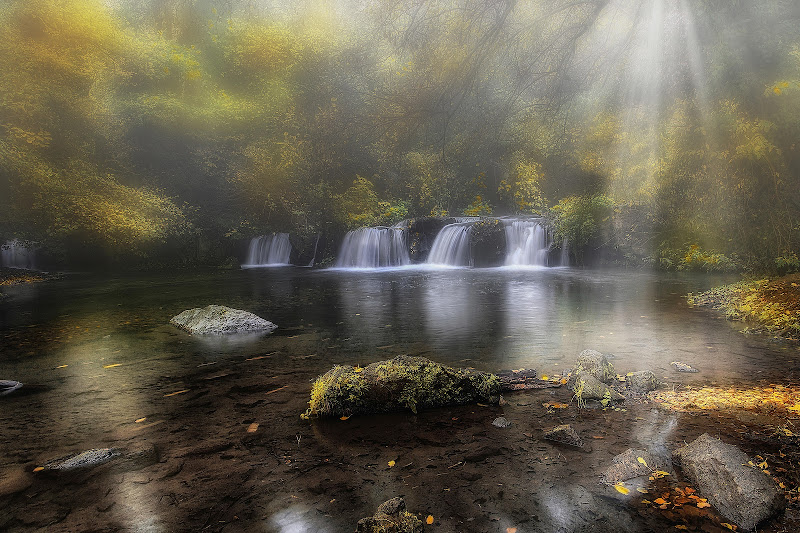 Segnali d'Autunno di paolo1954