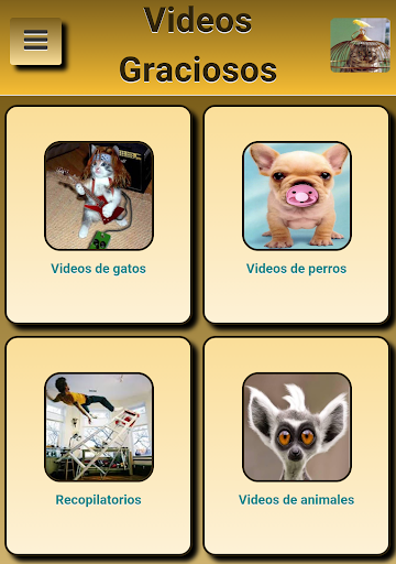 Videos graciosos