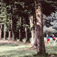 due passi nel bosco di 