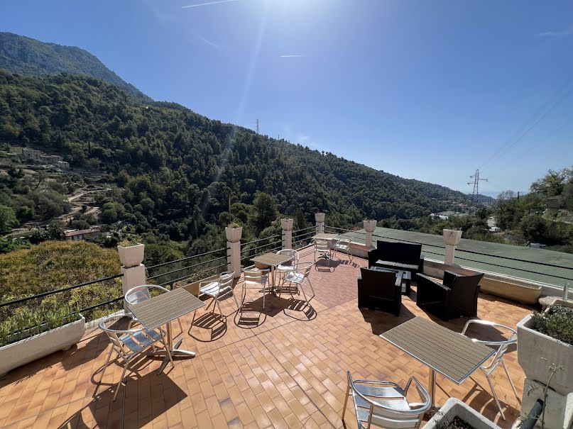 Vente locaux professionnels  489.53 m² à Menton (06500), 861 000 €