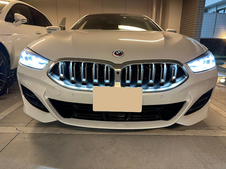 BMW 840 純正カーボングリル