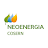 Neoenergia Cosern icon