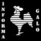 Informa Galo Download on Windows