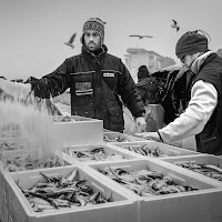 nella strada al lavoro di 