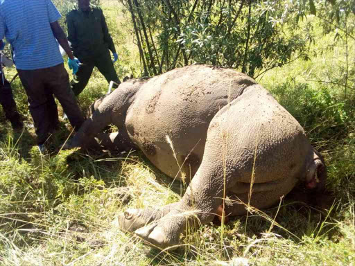 KWS officers at the scene of the killing of a rhino at Lake Nakuru National Park, July 31, 2018. /COURTESY