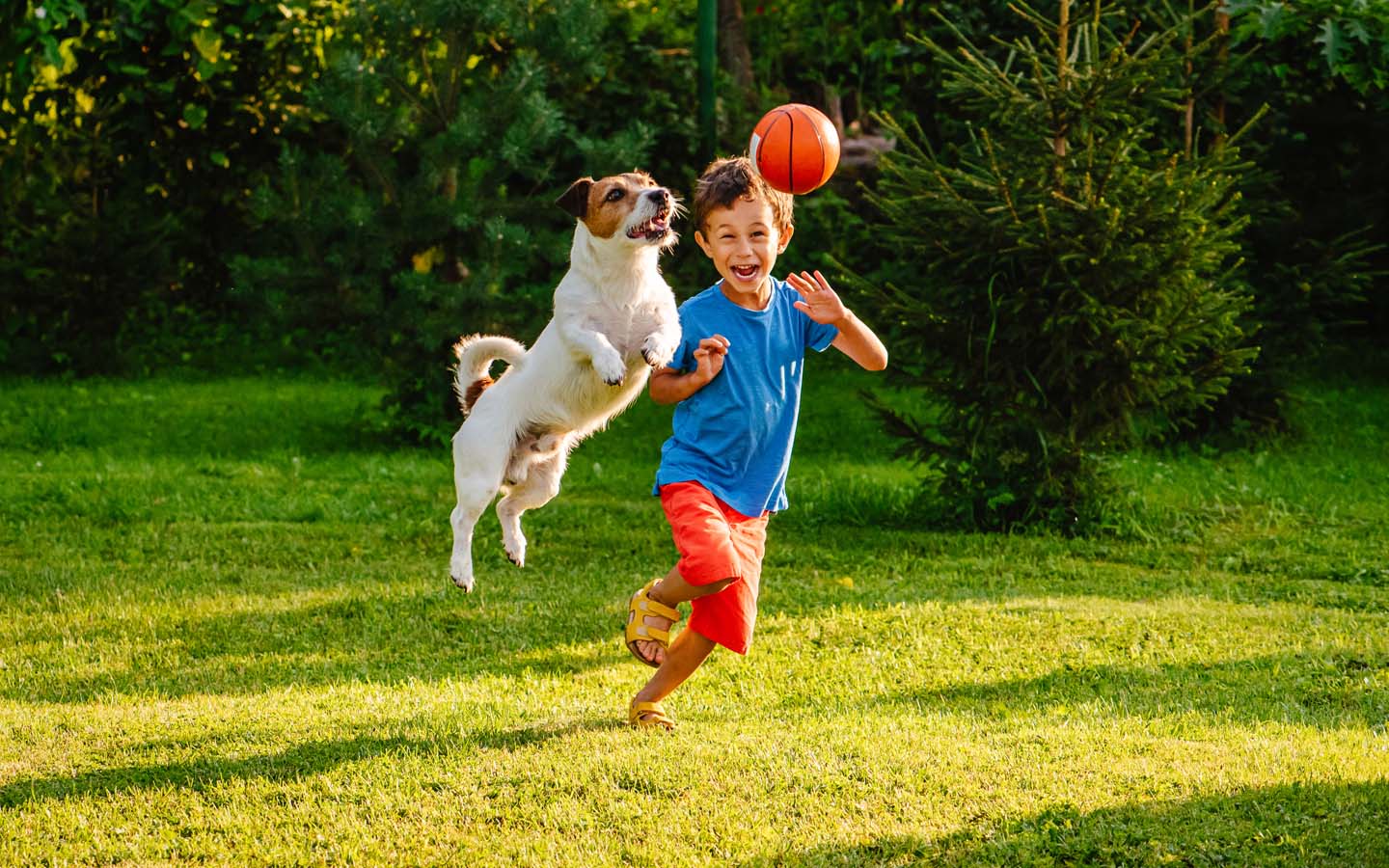 kid and dog playing with ball