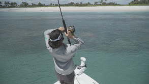 Treasure Coast nearshore excitement with Capt Max McKinley thumbnail