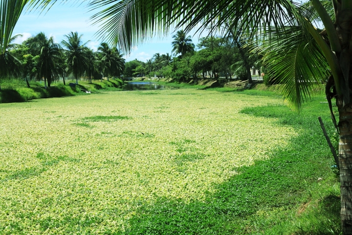 Rio Joanes di Foto Brasil