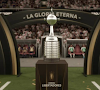 Copa Libertadores : Palmeiras en finale