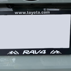 RAV4 MXAA54