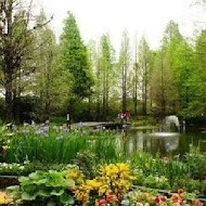 菁芳園 Tenway Garden／花園餐廳／落羽松