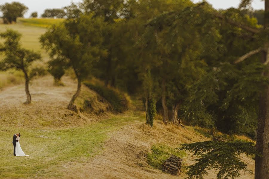 Fotógrafo de casamento Motiejus Salkauskas (motiejus). Foto de 28 de julho 2016