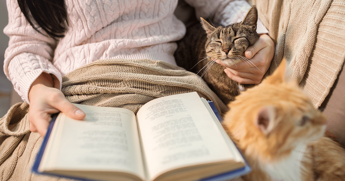 Woman laying on couch reading with a ginger cat and a tabby cat at her side