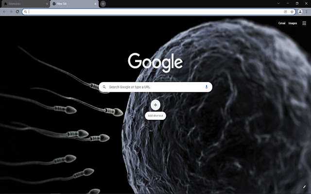 Cell, DNA, Egg chrome extension