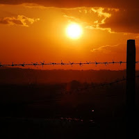 Sunset over Guantanamo di 