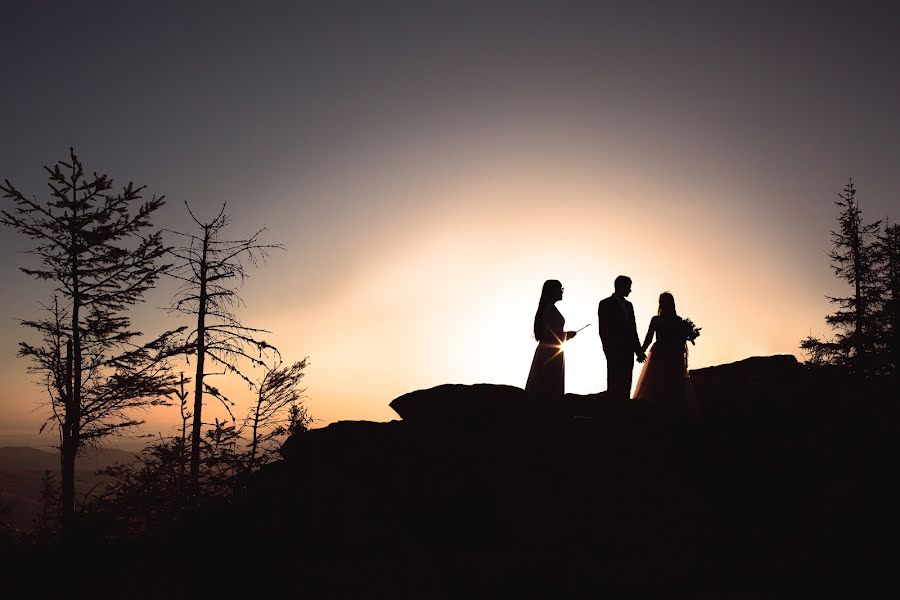 Fotografo di matrimoni Aleksandr Lesnichiy (lisnichiy). Foto del 15 maggio 2018