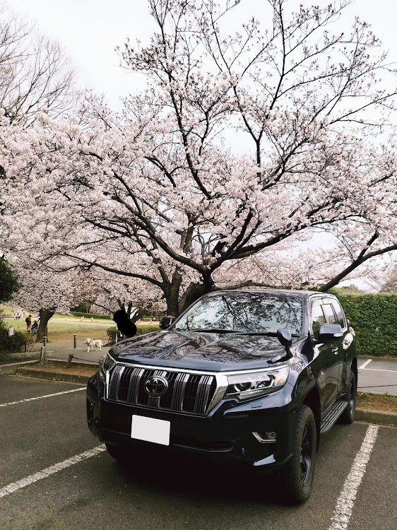 ランドクルーザープラドの三連休・愛車に感謝に関するカスタム事例の投稿画像1枚目