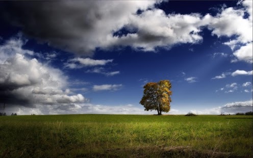 Lastest Nature Wallpapers Live APK