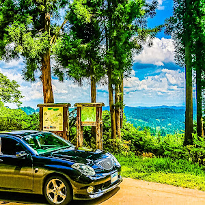 ヴェロッサ JZX110