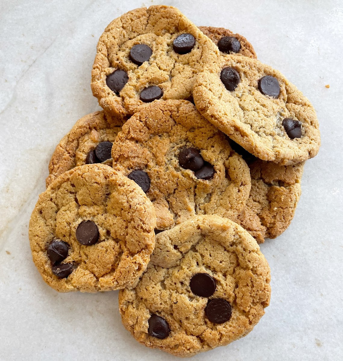 Chocolate Chip Cookie