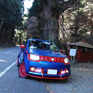 イグニス FF21S