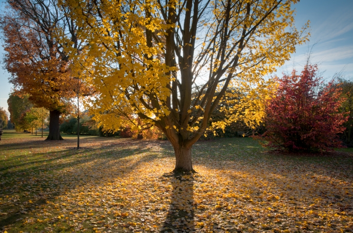 Autumn colors di franjanko