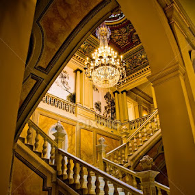 Museo Palau de Pedralbes  by Alex Zagorskij - Buildings & Architecture Other Interior