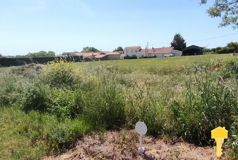  Vente Terrain à bâtir - 2 634m² à Saint-Fort-sur-Gironde (17240) 