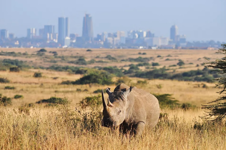 Kenya Wildlife Service (KWS) has proposed a 10-year plan to fence land along the southern boundary to reduce conflict between people and animals.