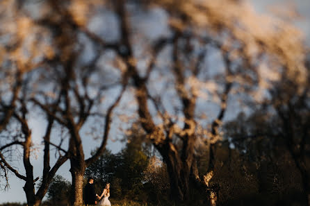 Fotografo di matrimoni Veres Izolda (izolda). Foto del 11 giugno 2023