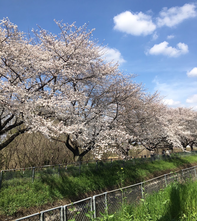 の投稿画像125枚目