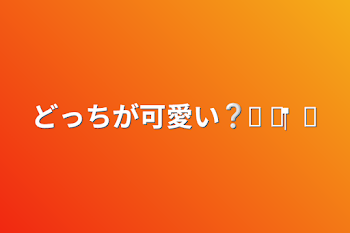 どっちが可愛い❔⸜‪ ‪❤︎‬ ⸝