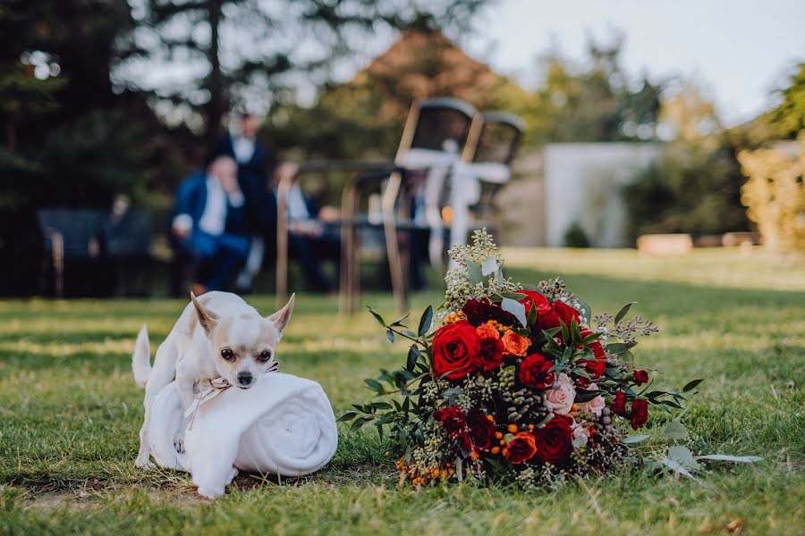 Fotograful de nuntă Filip Matuška (filipmatuska). Fotografia din 10 ianuarie 2020