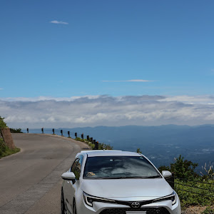 カローラスポーツ ZWE219H