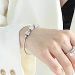 Z004 Steel Bracelet