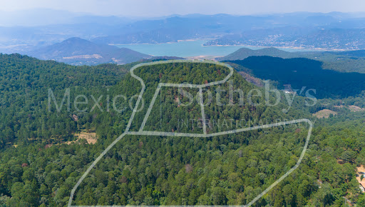 Wooded hills with distant lake view - Property purchase in Valle de Bravo
