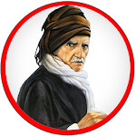 Cover Image of Download Bediüzzamandan Kısa Hikayeler 1.1 APK