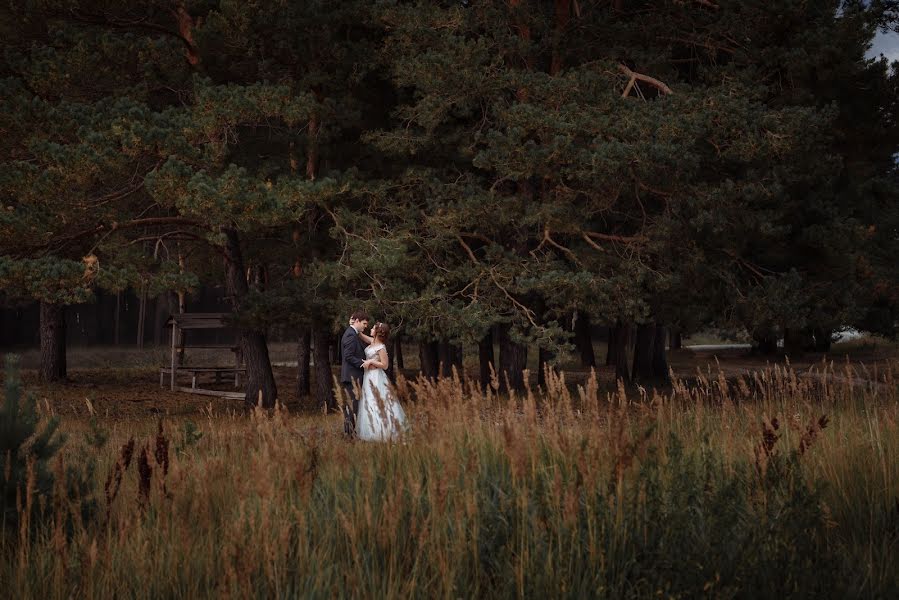 Fotógrafo de casamento Yuliya Kholodnaya (holodnaya). Foto de 12 de novembro 2017