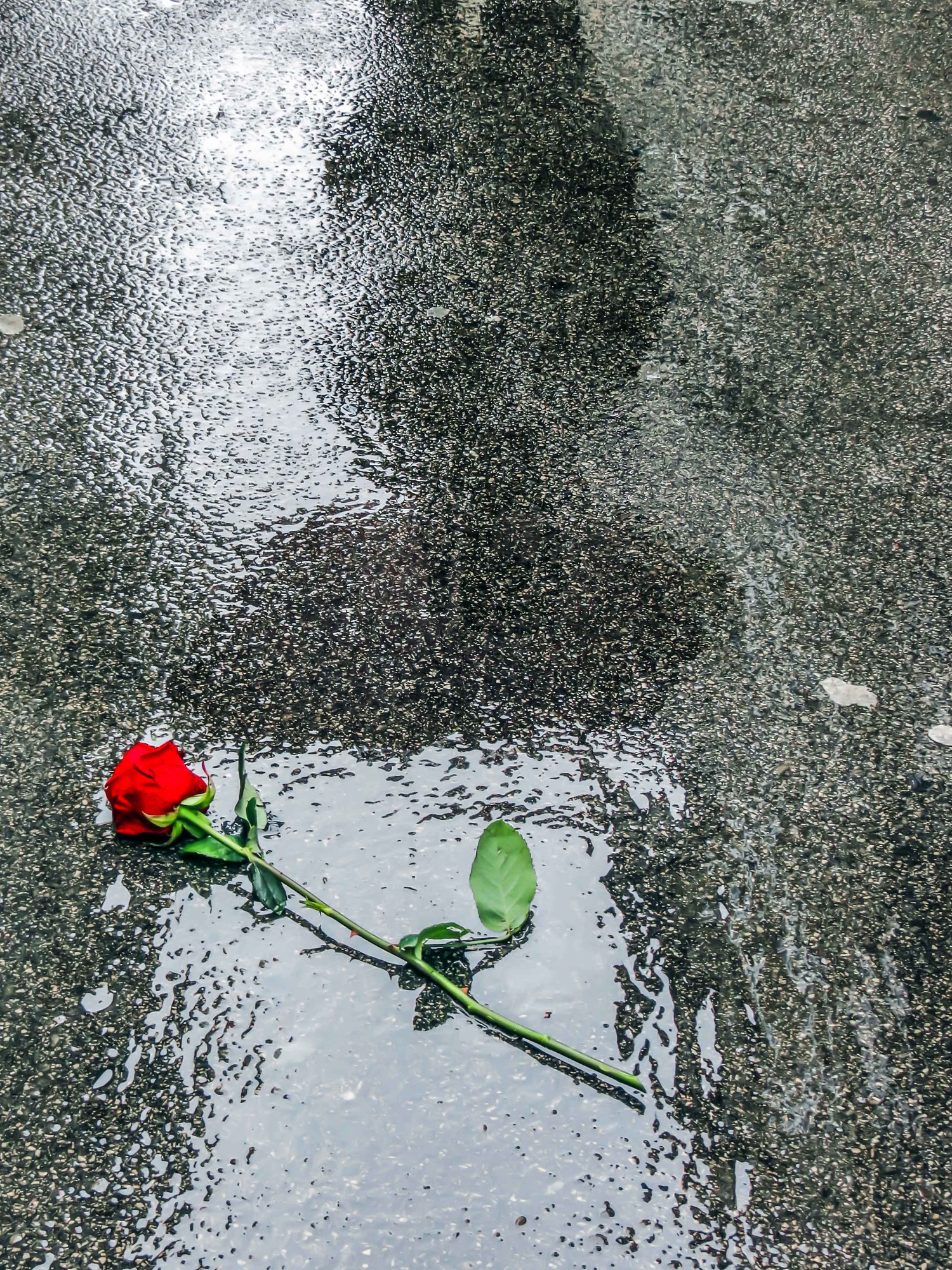 Lacrime di pioggia.... di alfonso gagliardi