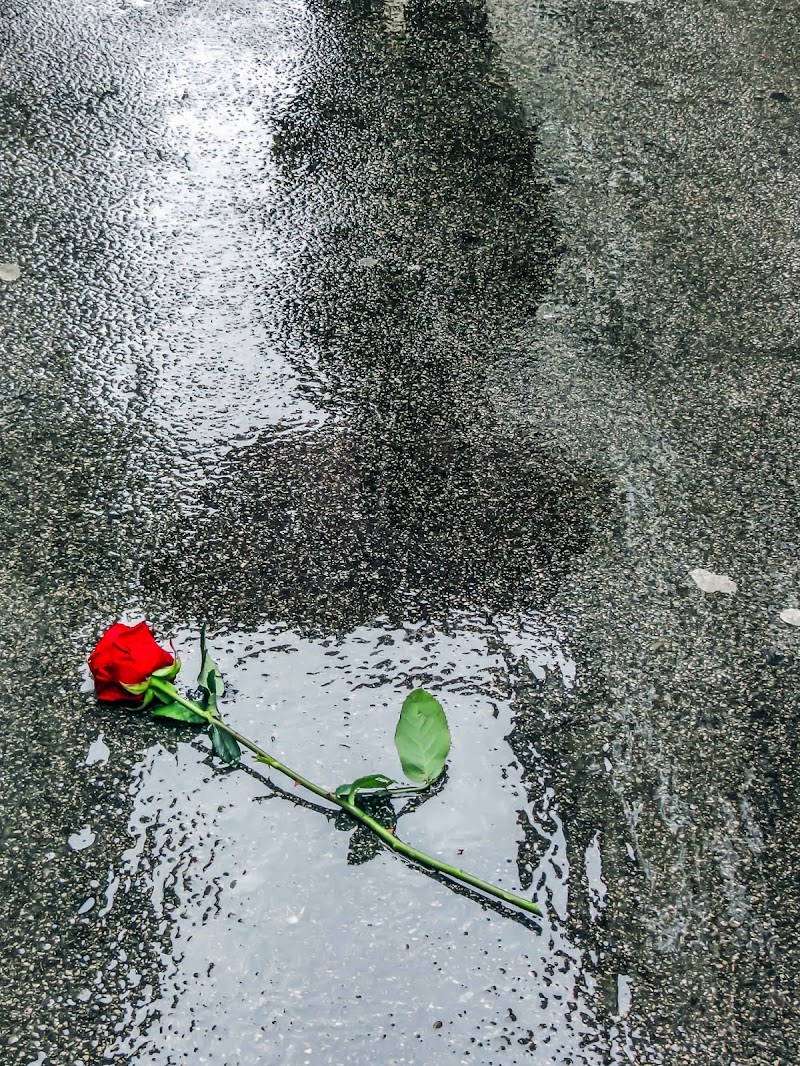 Lacrime di pioggia.... di alfonso gagliardi